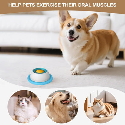 Pet Feeding Accessories Dog Treat Toy