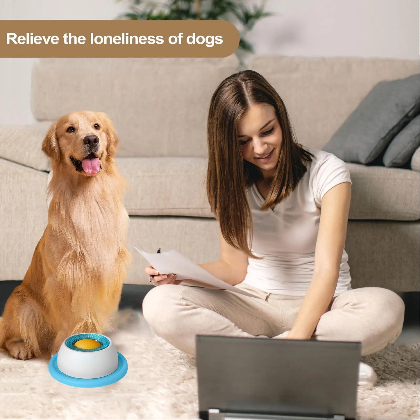 Pet Feeding Accessories Dog Treat Toy
